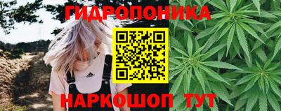 ГАЛЛЮЦИНОГЕННЫЕ ГРИБЫ Аргун